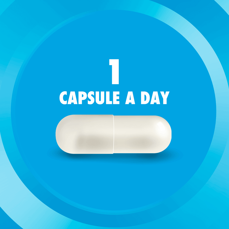 Digestive Advantage® Daily Probiotic 4in1 Capsules